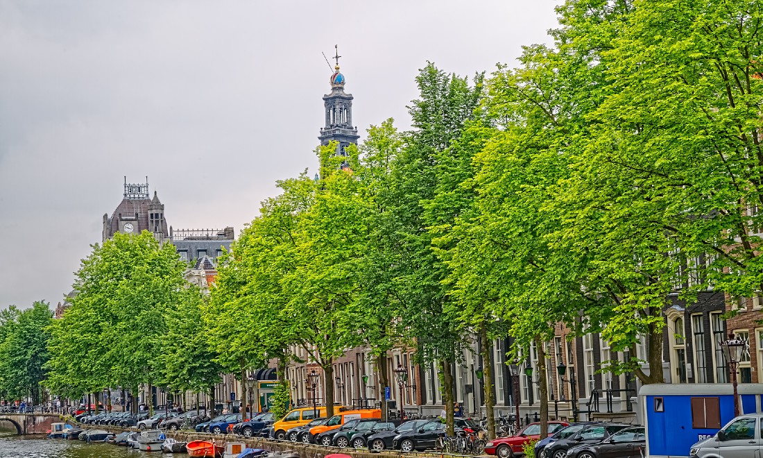 Walk along the Springsnow elm route of Amsterdam