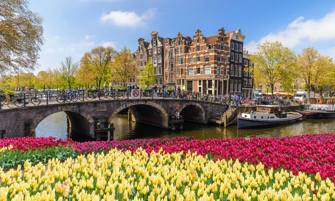 Amsterdam Tulip Festival