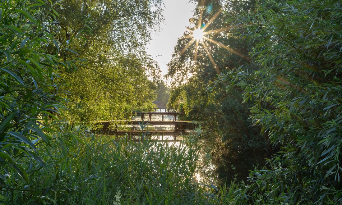 Amsterdamse Bos park in Amsterdam