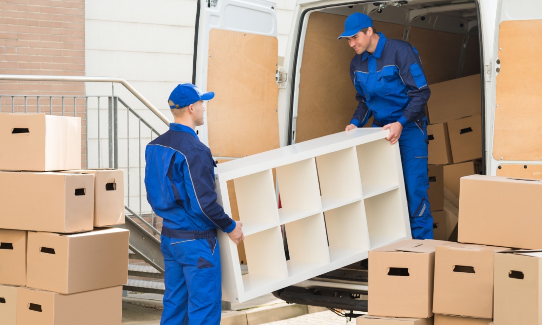 BearStorm workers moving furniture