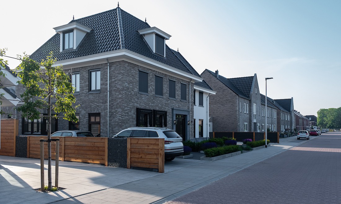 Dutch suburban houses