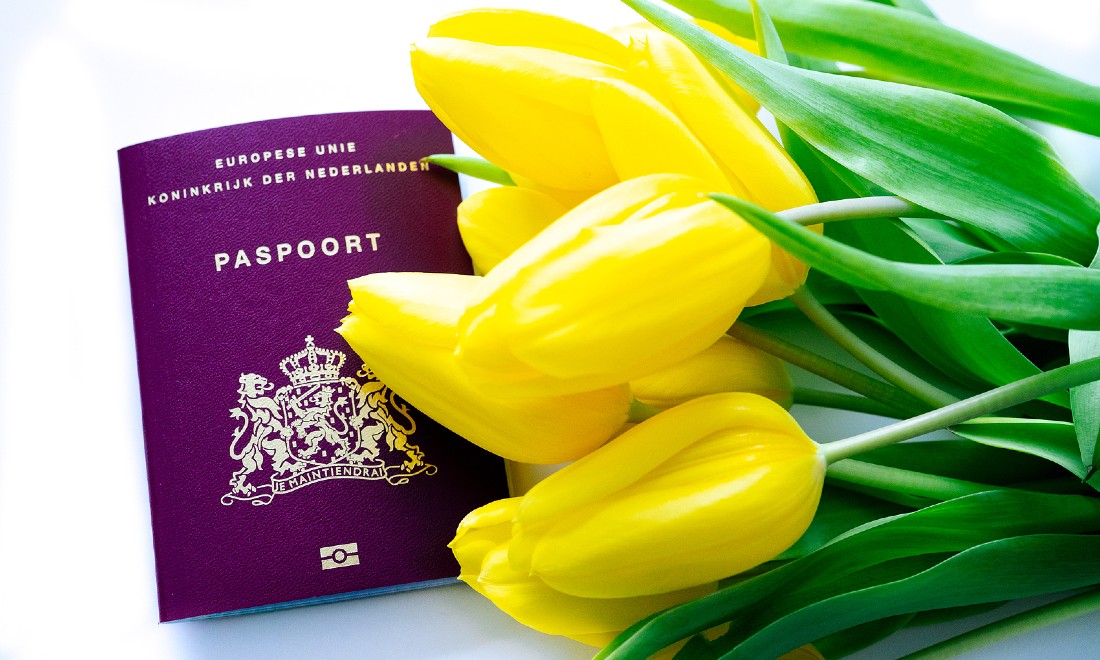 Dutch passport yellow tulips