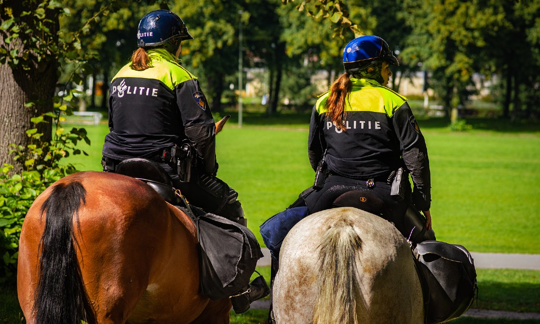 Dutch police horses