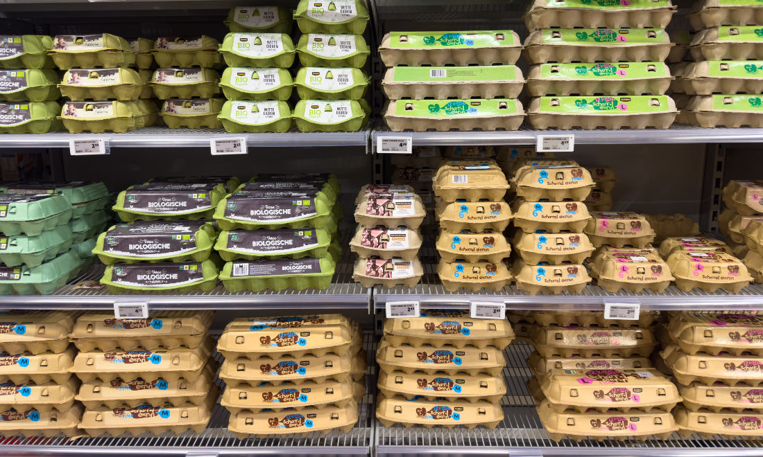 Cartons of eggs in a Dutch supermarket