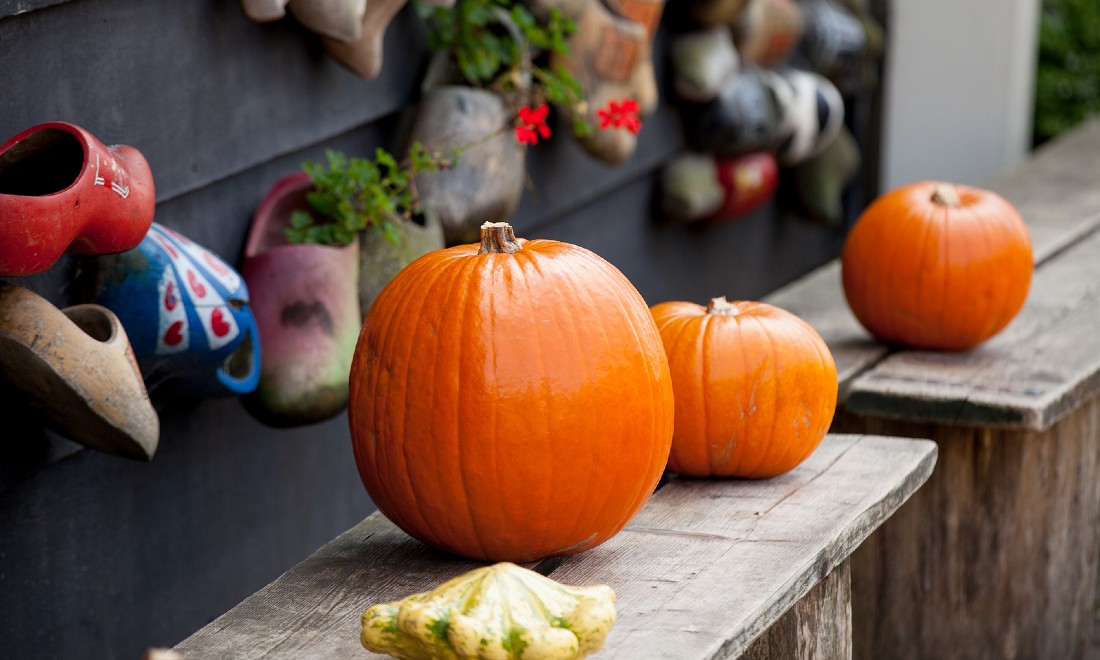 Halloween celebrations events costumes traditions the Netherlands