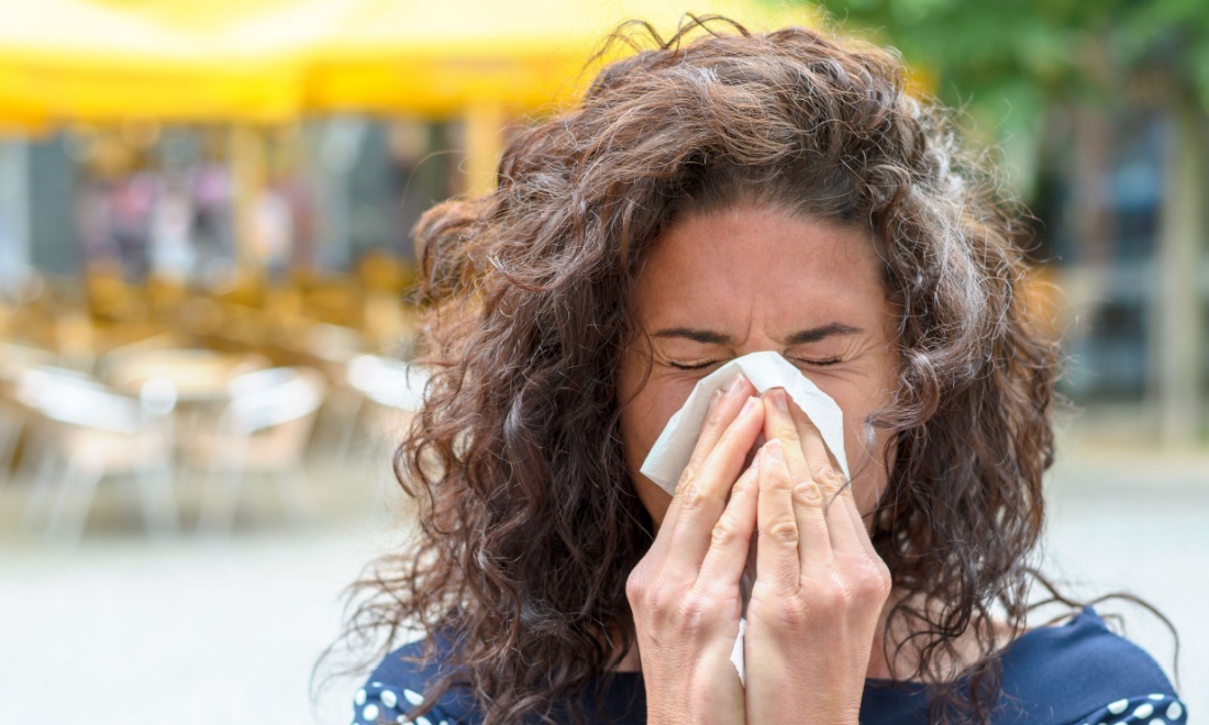 Hay fever in the Netherlands