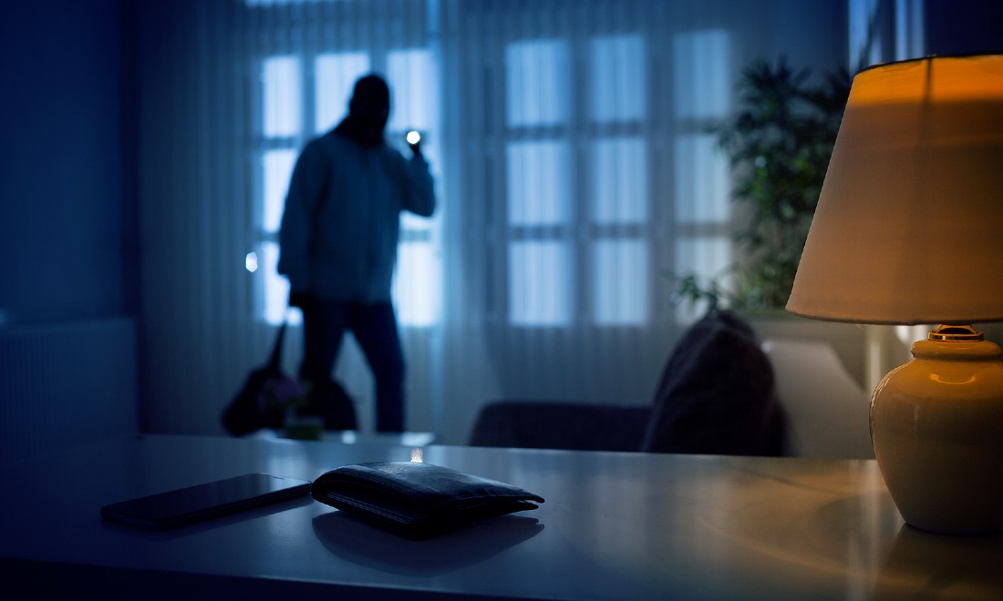 home burglary break-ins the Netherlands coronavirus lockdown