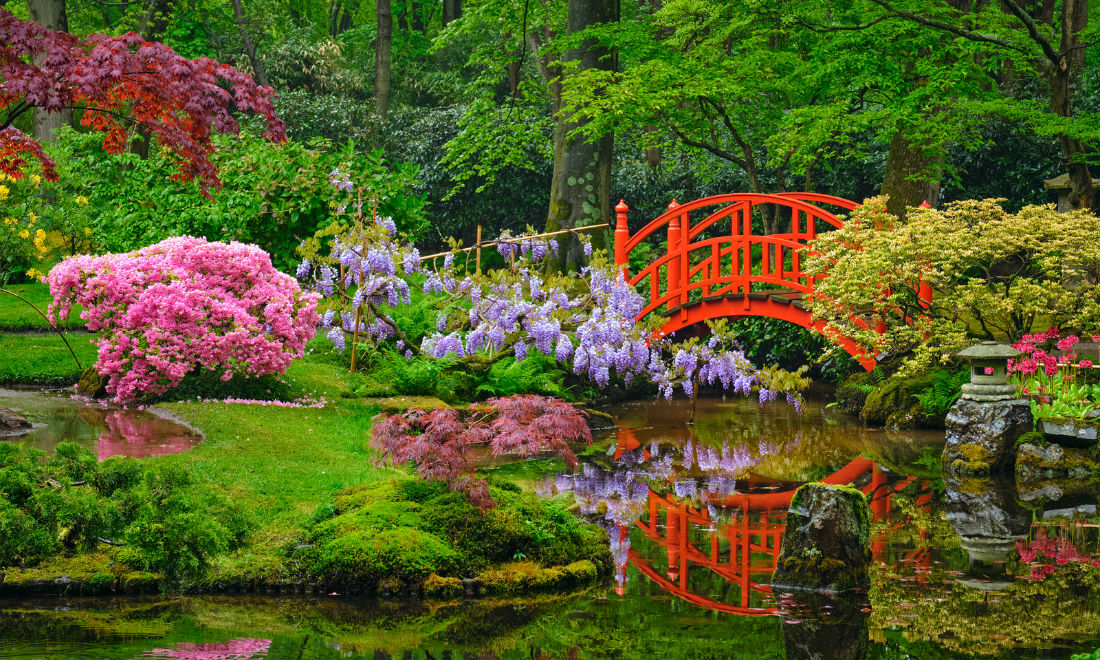 Clingendael’s Japanese garden The Hague