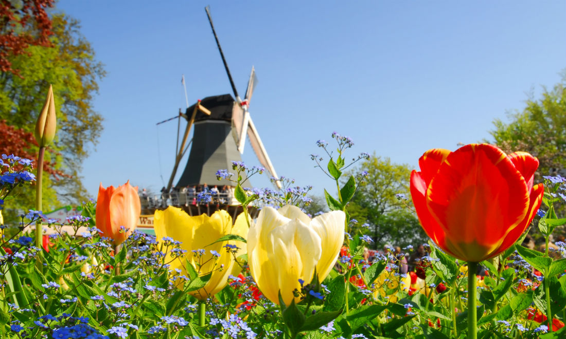 Keukenhof Spring opening