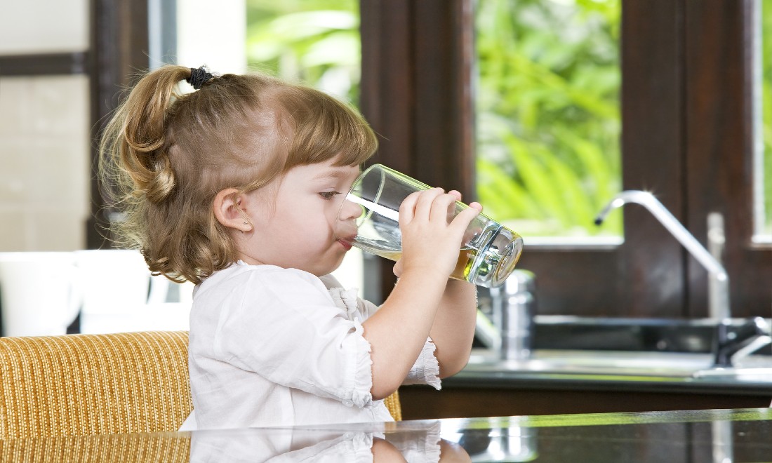 Lead poisoning children the Netherlands