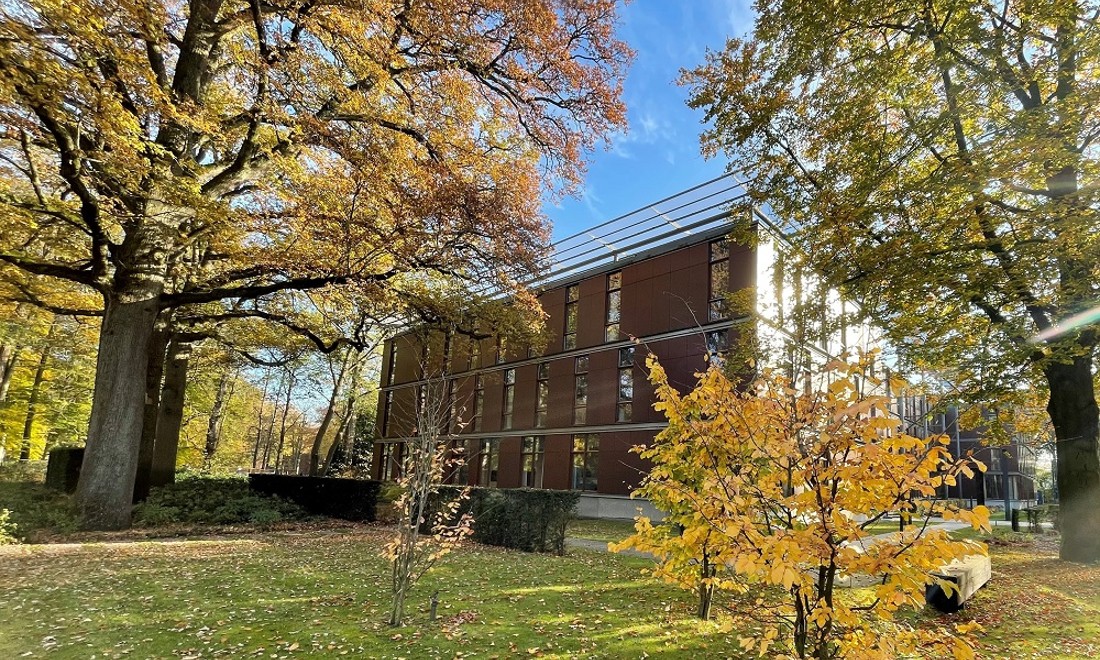 regina coeli language institute building