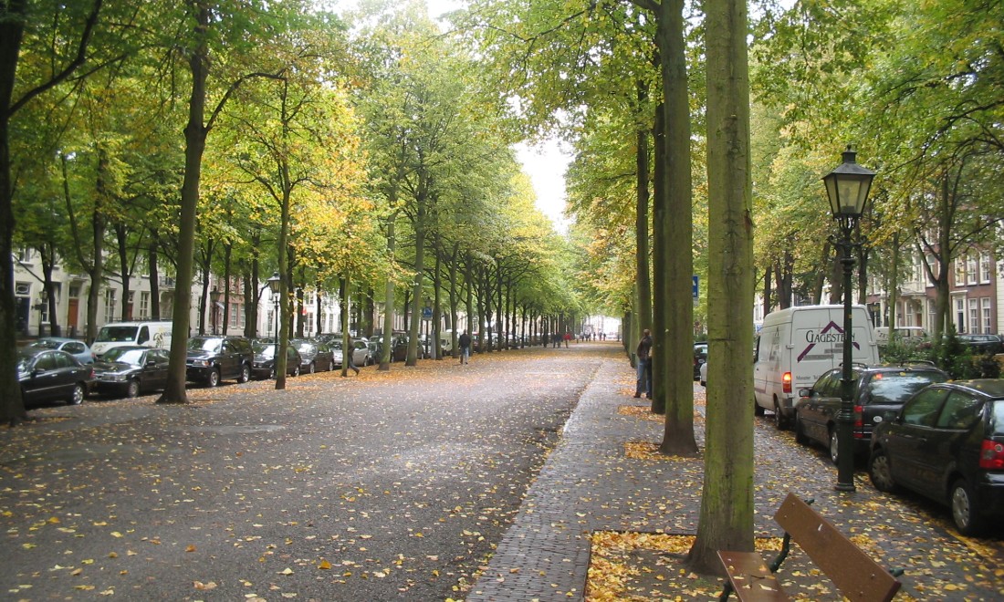 Masterly The Hague Lange Voorhout