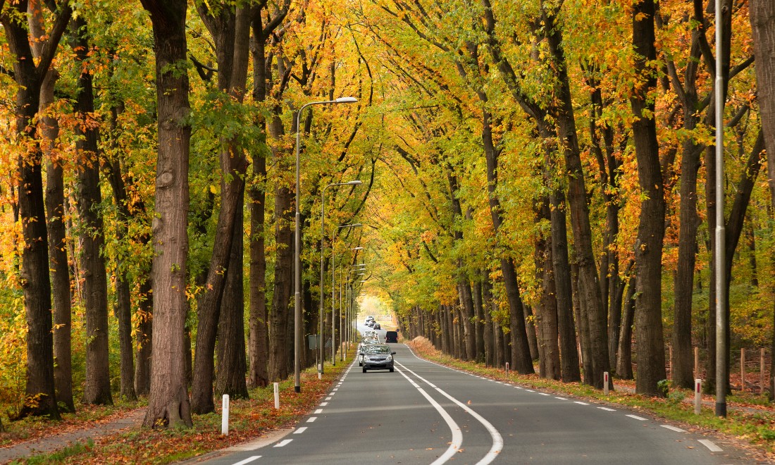 Card driving on a provincial road (N-road) in the Netherlands