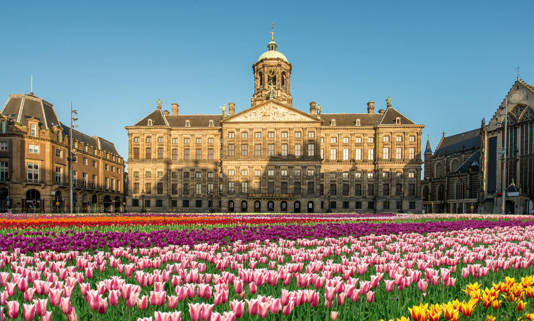 National Tulip Day Musuem Square Amsterdam