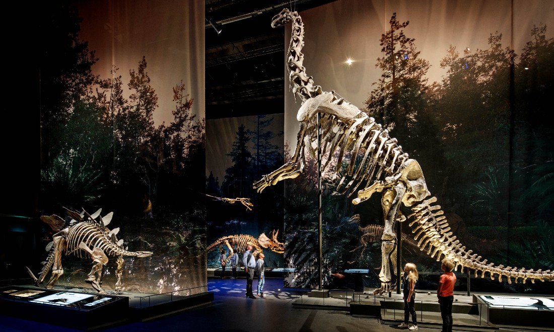 Naturalis Museum Leiden