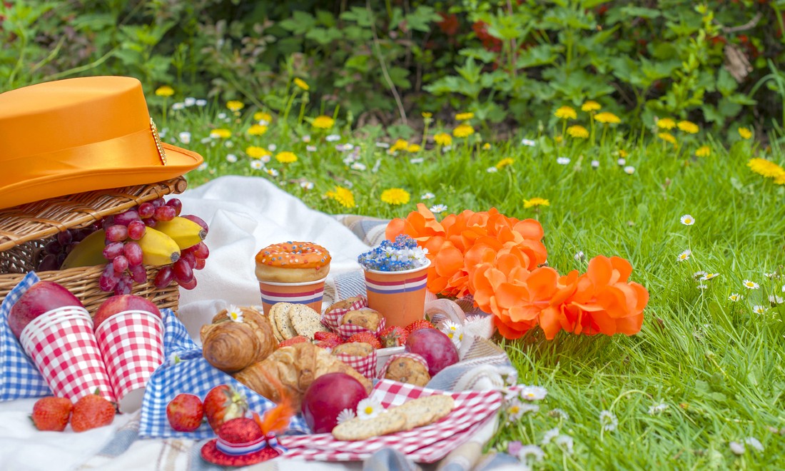 picnic outdoors celebrating King's Day Netherlands