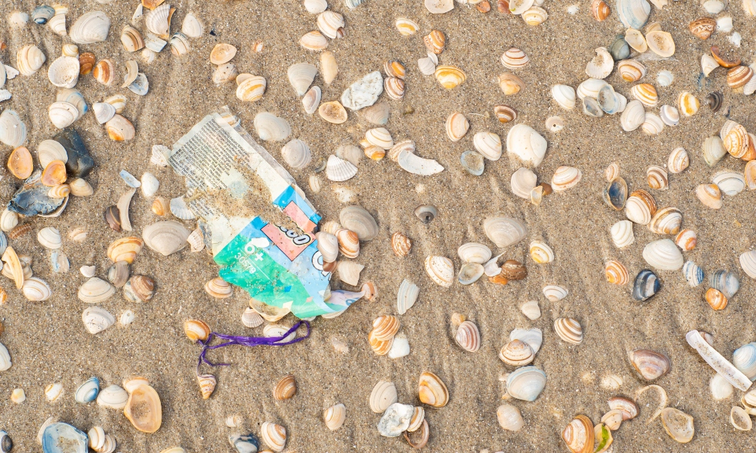 Plastic rubbish on a Dutch beach