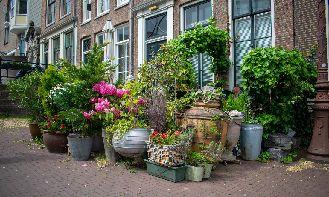 Potted plants on Dutch streets in Amsterdam