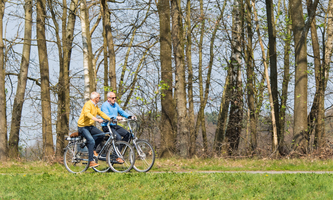 Retired men cycling in the Netherlands