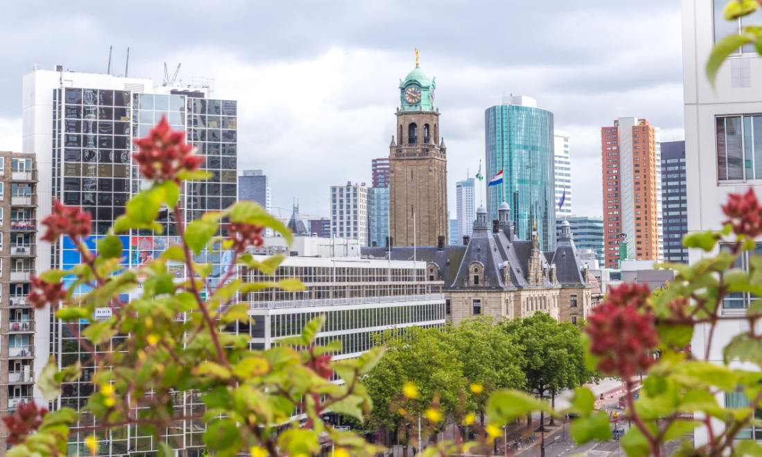 Rotterdam roof garden