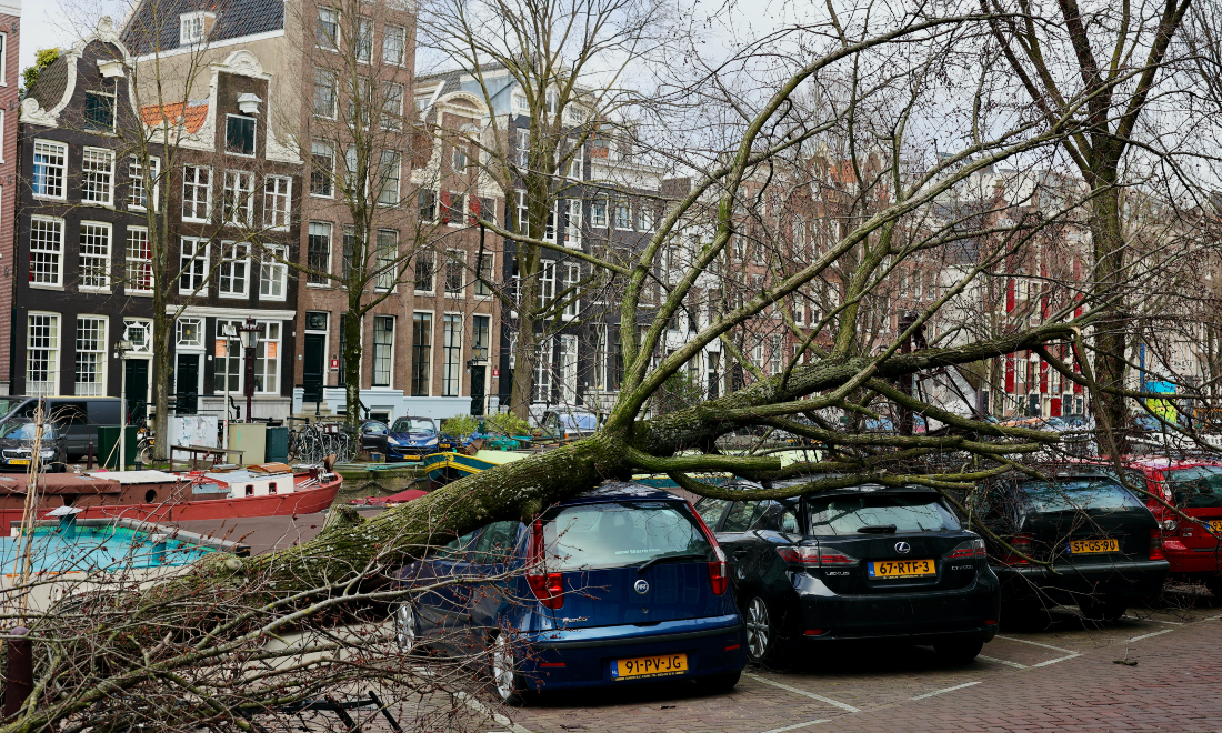 Damage caused by storm Eunice in Amsterdam, the Netherlands in 2022