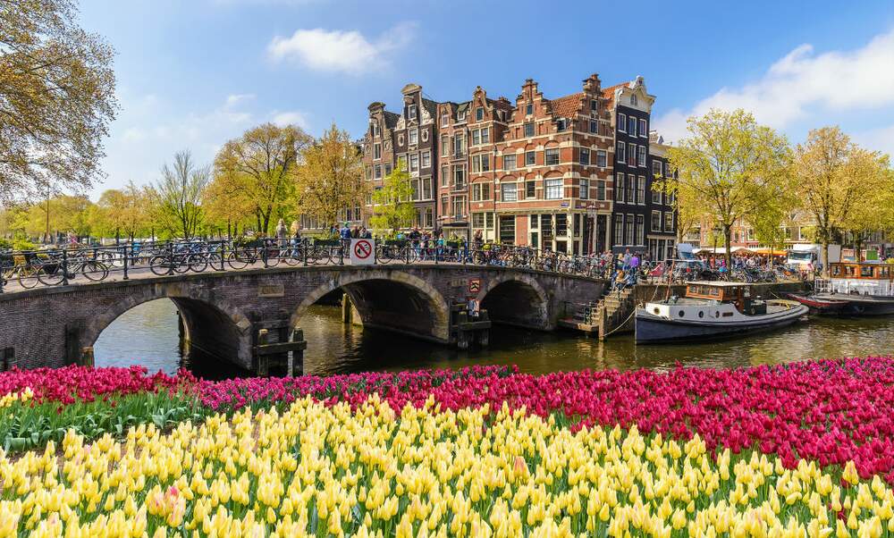 Amsterdam Tulip Festival Online