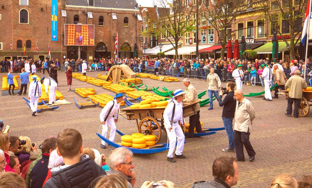 Cheese Market Alkmaar