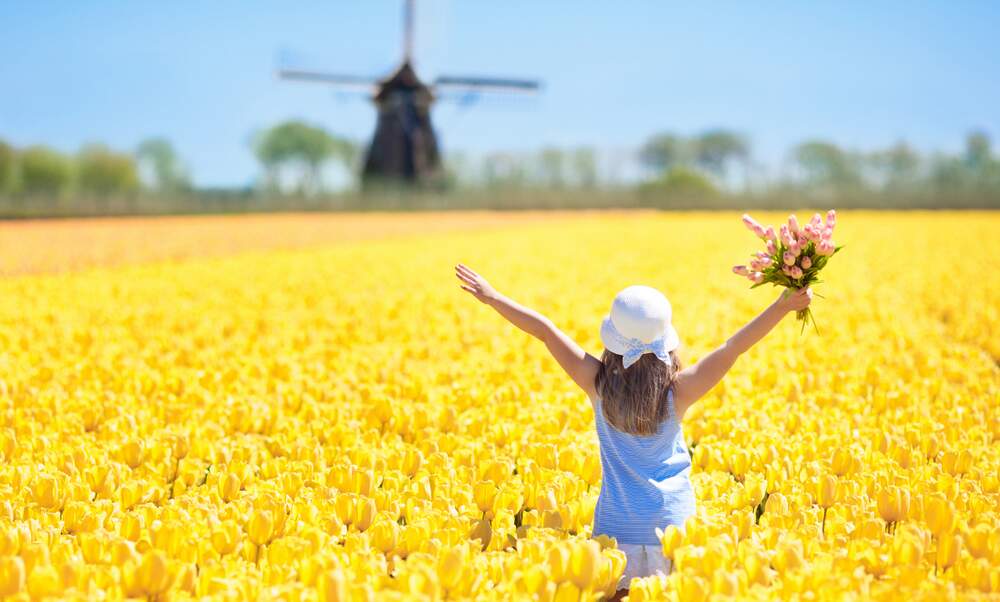 Dutch People Are The 5th Happiest In The World