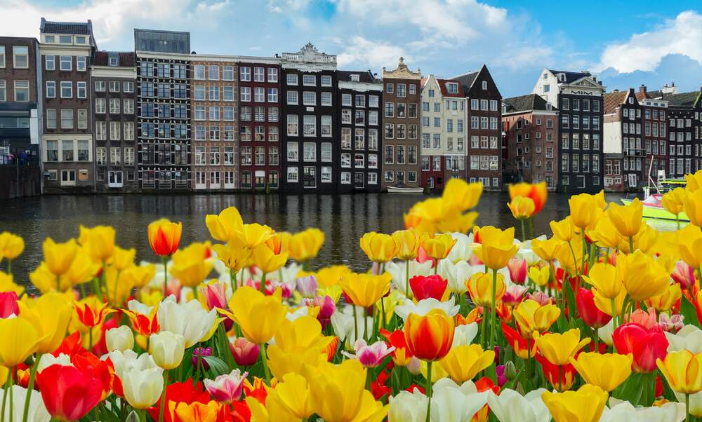 The Dutch housing market: Another tulip mania?