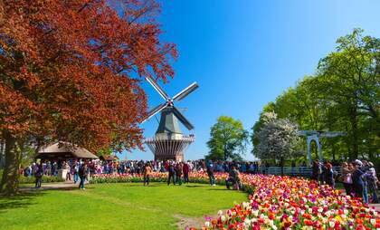 Keukenhof: A complete guide to visiting the tulip gardens of Holland