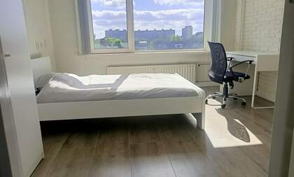 studios for rent on Slotlaan