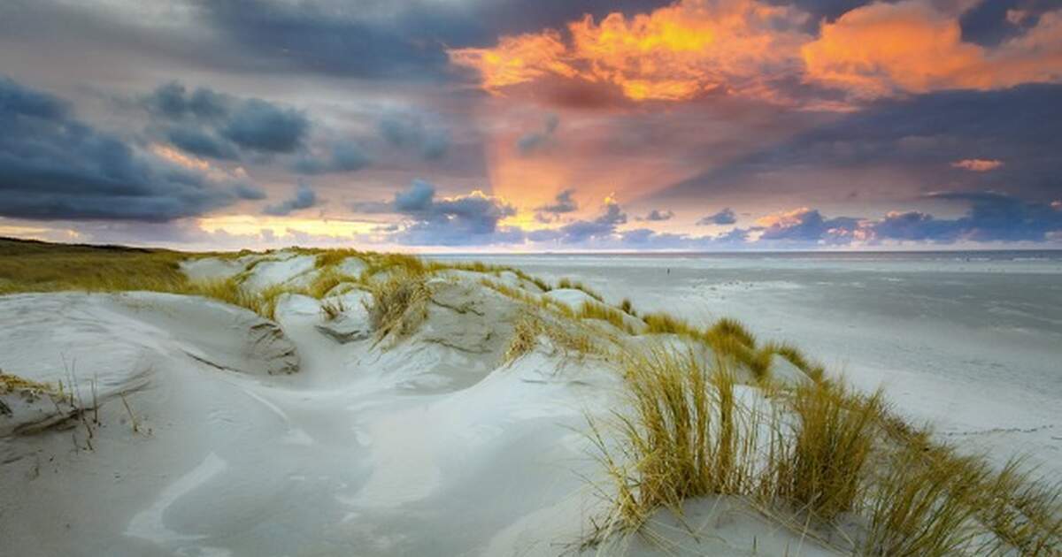 13 popular beaches in the Netherlands