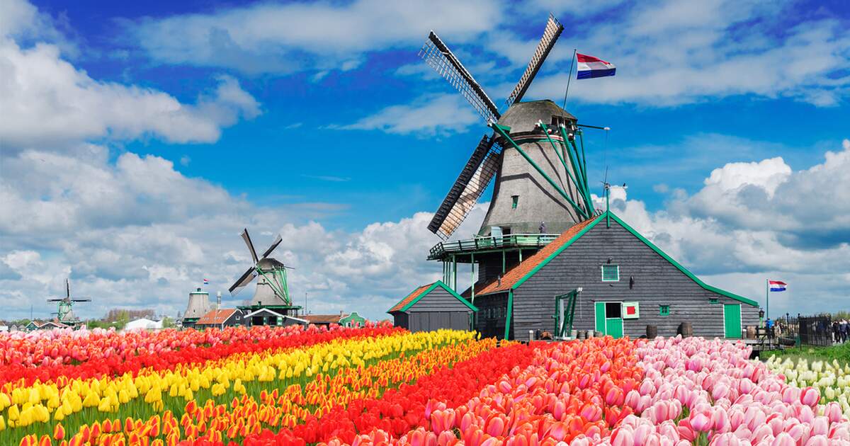 Dutch Windmills Attractions And Sightseeing In The Netherlands