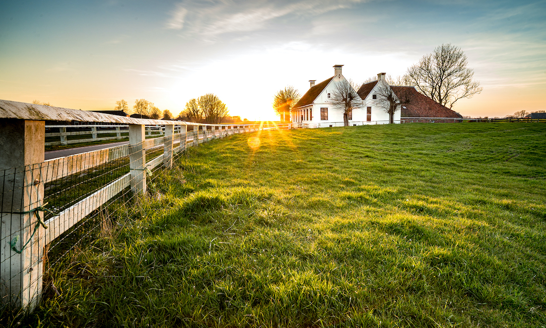 sun netherlands