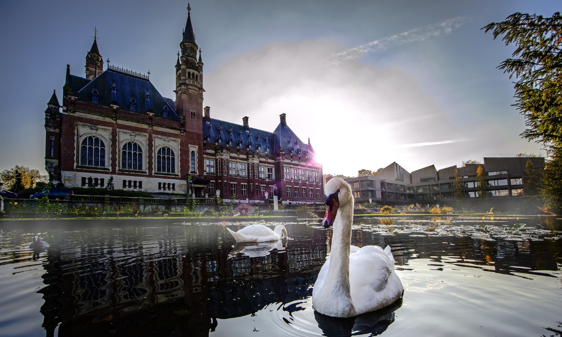 The Hague International Open Day