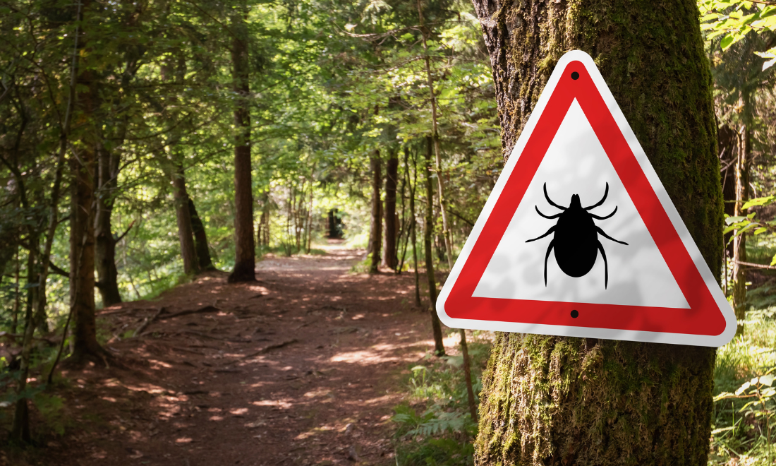 Tick warning sign in forest