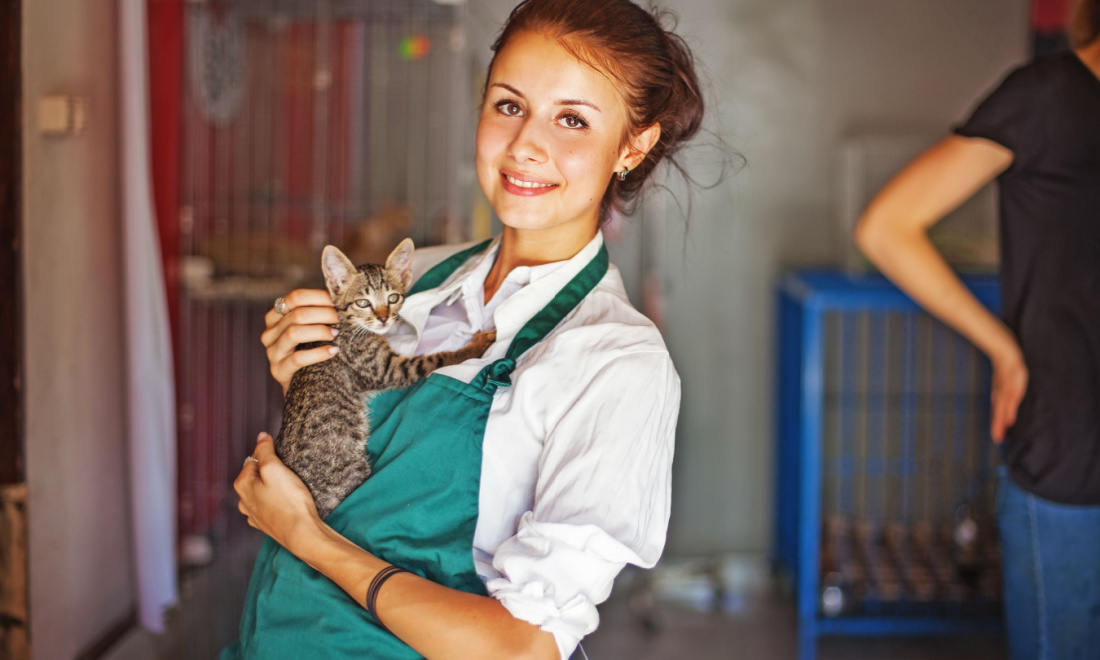 Volunteer The Hague woman holding kitten