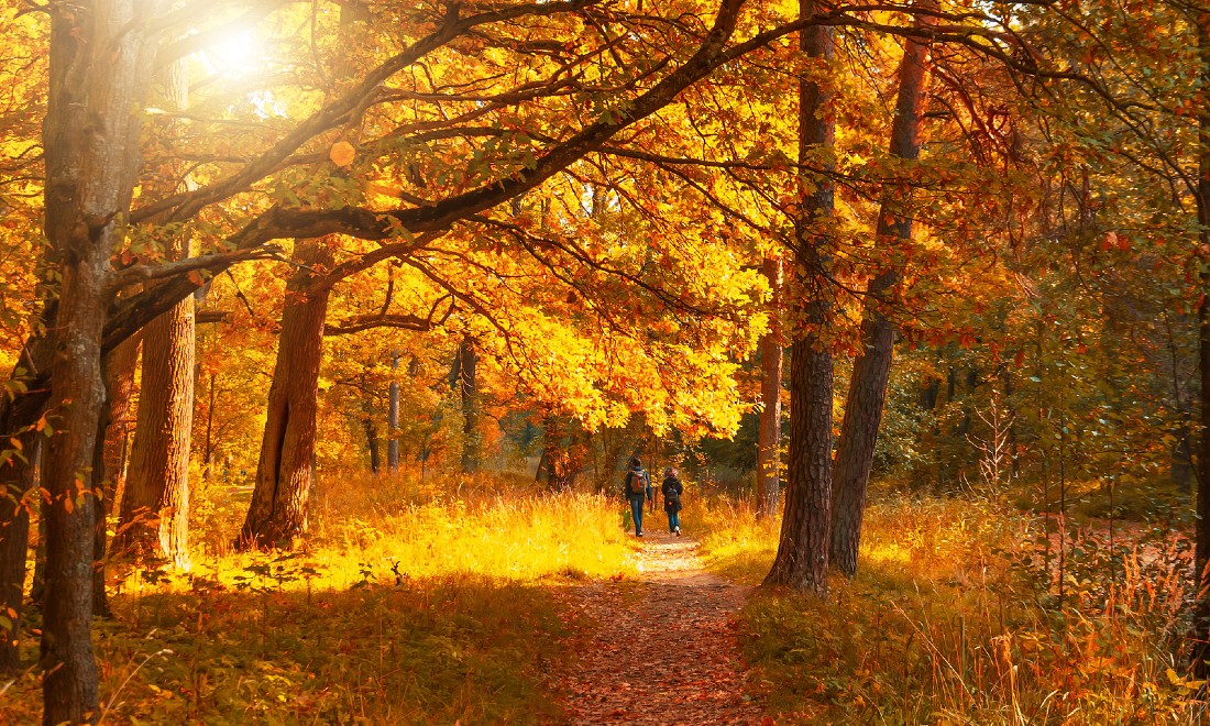 Walking trails hiking routes the Netherlands