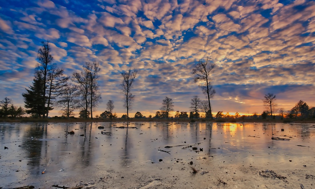 Winter the Netherlands