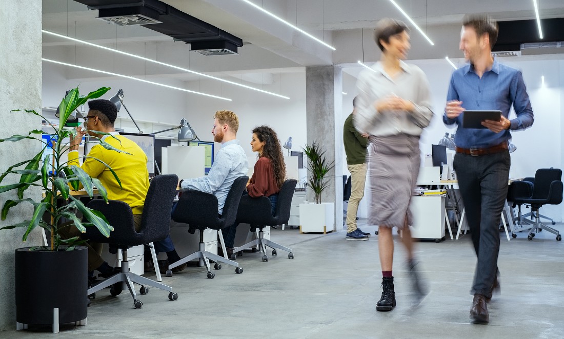 Office working colleagues the Netherlands